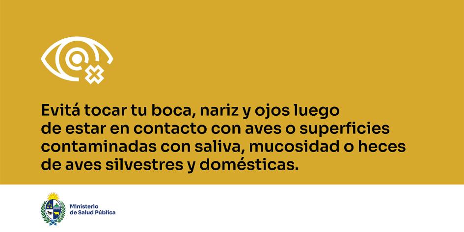 Evitá tocar tu boca, nariz y ojos luego de estar en contacto con aves o superficies contaminadas