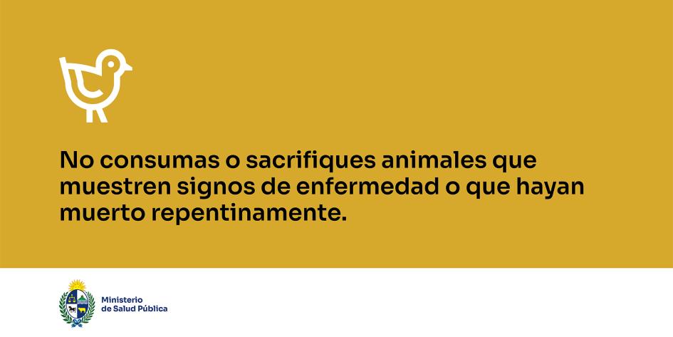No consumas o sacrifiques animales que muestren signos de enfermedad o que hayan muerto