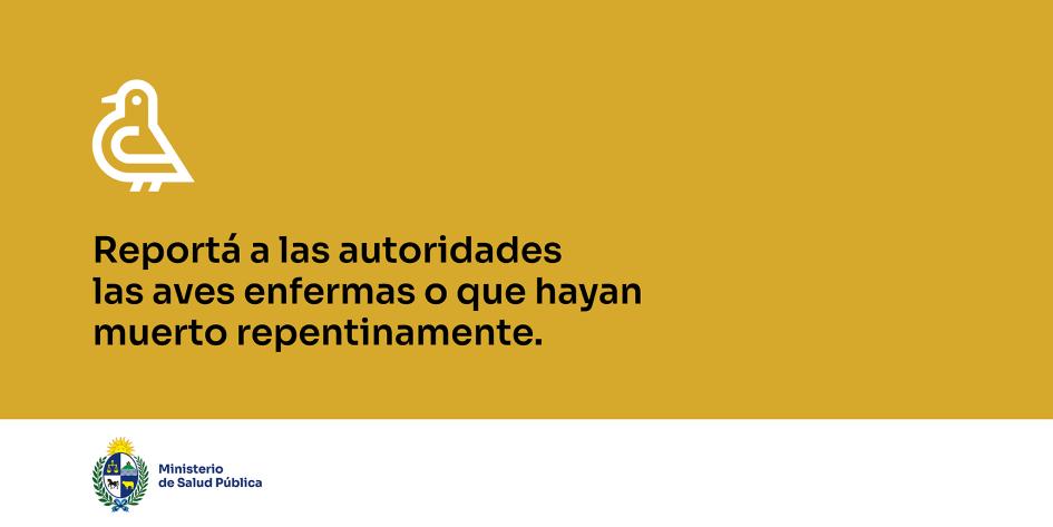 Reportá a las autoridades las aves enfermas o que hayan muerto repentinamente.