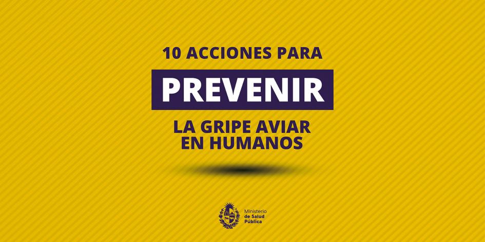 10 acciones para prevenir la gripe aviar en humanos