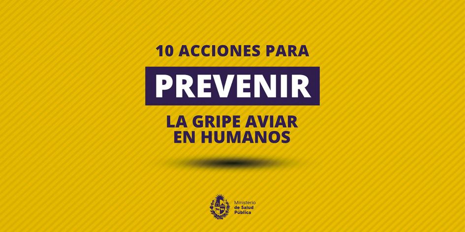 01 10 acciones para prevenir la gripe aviar en humanos