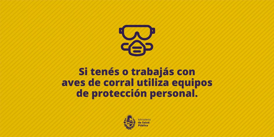 Si tenés o trabajás con aves de corral utiliza equipos de protección personal