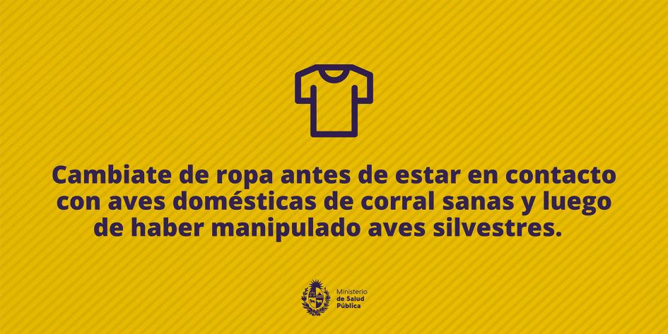 Cambiate de ropa antes de estar en contacto con aves domésticas de corral sanas