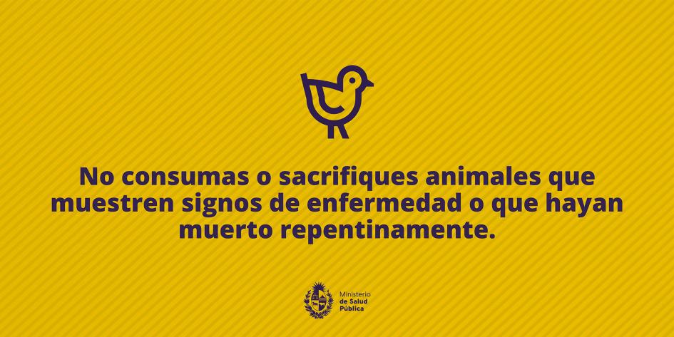 No consumas o sacrifiques animales que muestren signos de enfermedad o que hayan muerto 