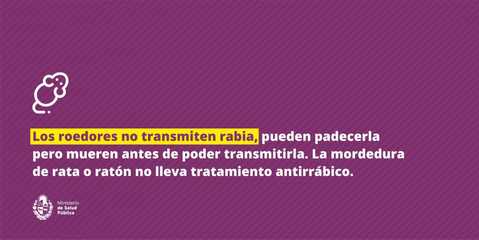 Los roedores no transmiten rabia, pueden padecerla pero mueren antes de poder transmitirla. 