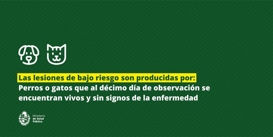 Lesiones de bajo riesgo 