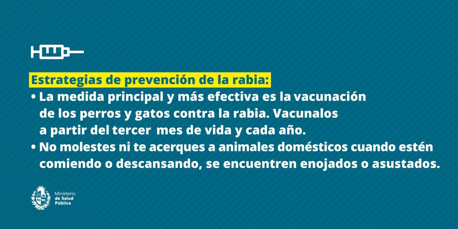 Estrategias de prevención