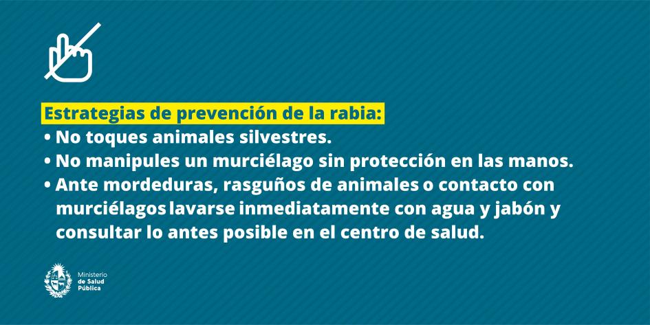 Estrategias de prevención