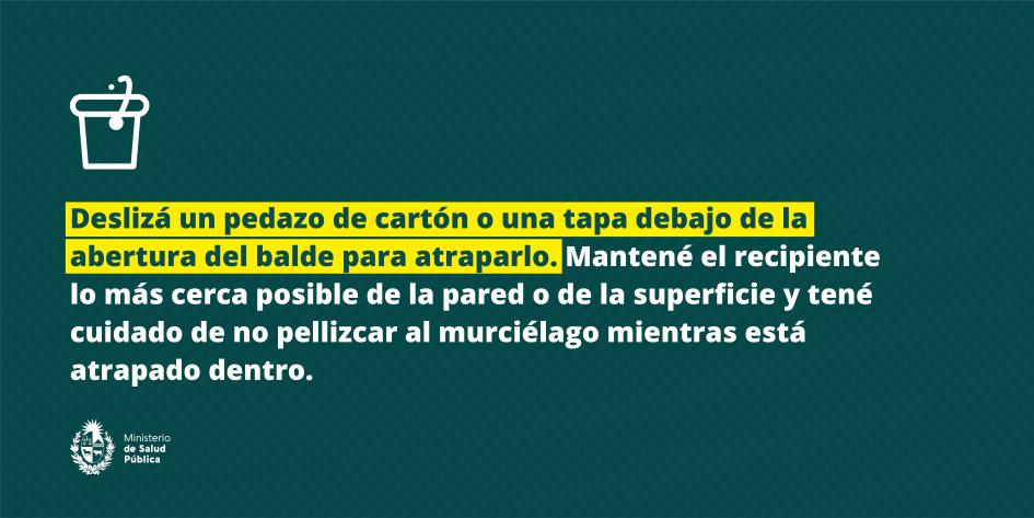 Deslizá un pedazo de cartón o una tapa debajo de la abertura del balde para atraparlo. 