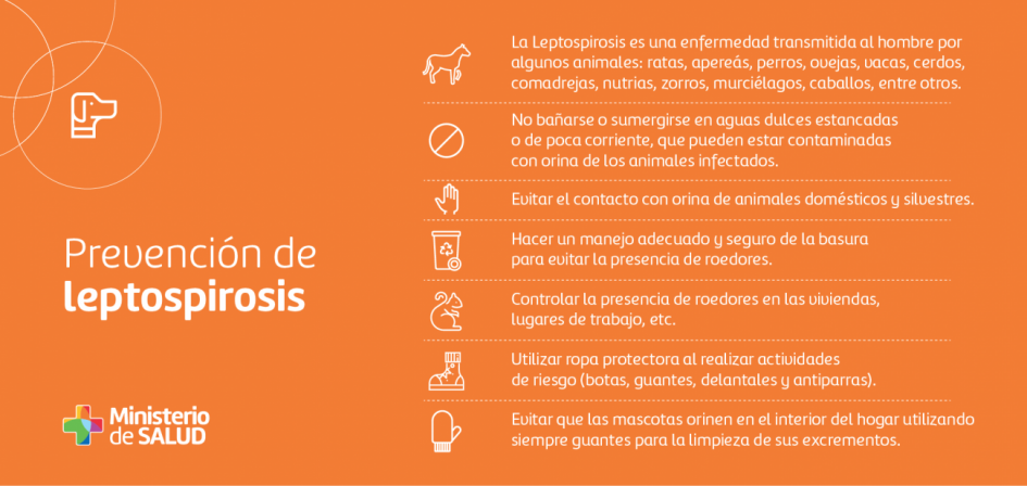 Placa sobre medidas de prevención de leptospirosis