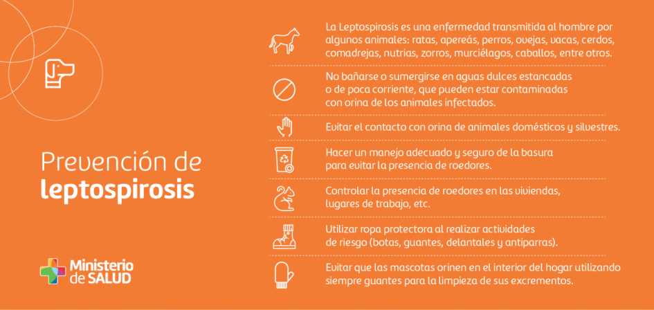 Placa sobre medidas de prevención de leptospirosis Placa sobre medidas de prevención de leptospirosis