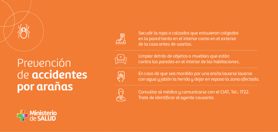 Placa sobre medidas de prevención de accidentes por arañas Placa sobre medidas de prevención de accidentes por arañas