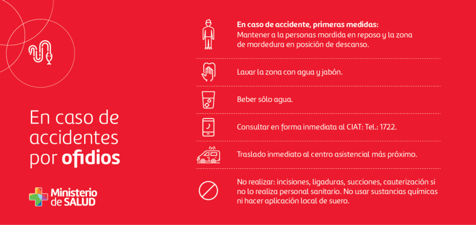 Placa sobre medidas de prevención de accidentes por ofidios II Placa sobre medidas de prevención de accidentes por ofidios II