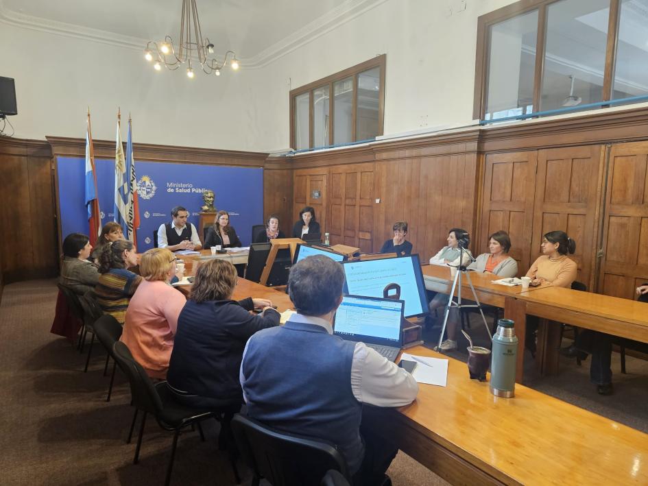 Cuentas nacionales de salud Equipo de trabajo