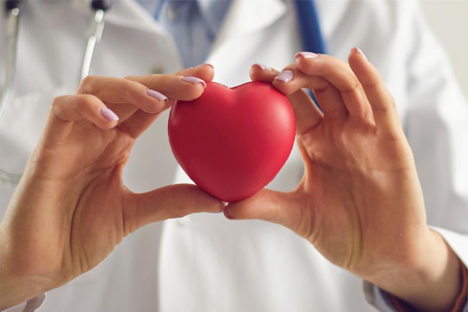 Día de las cardiopatías congénitas Médica sostiene un corazón de goma con sus manos