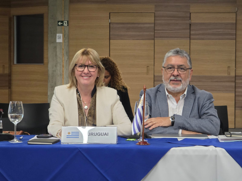 Ministra de Salud Pública, Cristina Lustemberg, y subdirector general de la Salud, Gilberto Ríos
