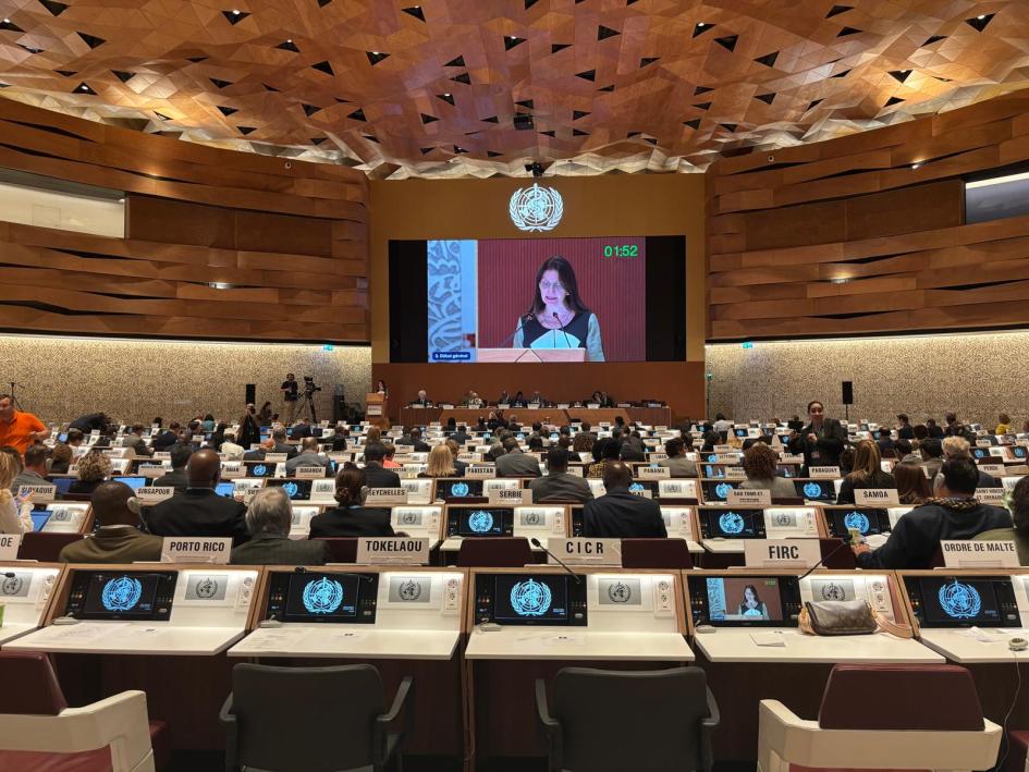 Karina Rando en la Asamblea Mundial de la Salud Sala de conferencias: participantes en sus escritorios, al fondo una pantalla proyecta a Rando