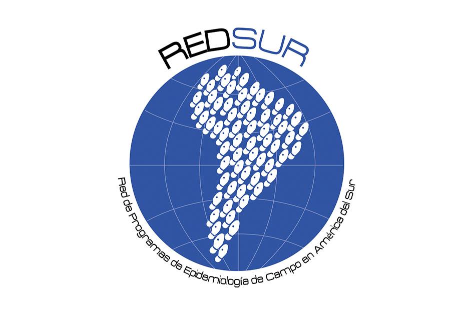 Logo de la Red de Programas de Epidemiología de Campo en América del Sur Ícono de un globo terráqueo. Huellas de zapato una al lado del otro conforman América del Sur