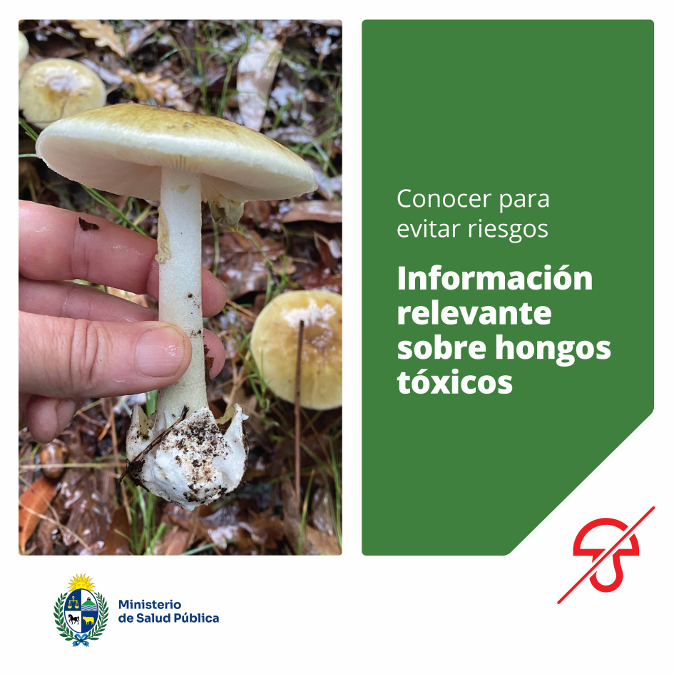 Conocer para evitar riesgos