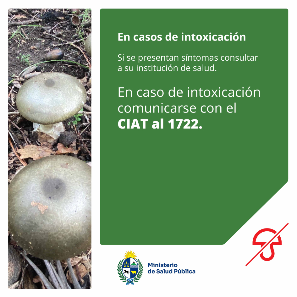 Si se presentan síntomas consultar a su institución de salud. Por intoxicación llamar a CIAT al 1722