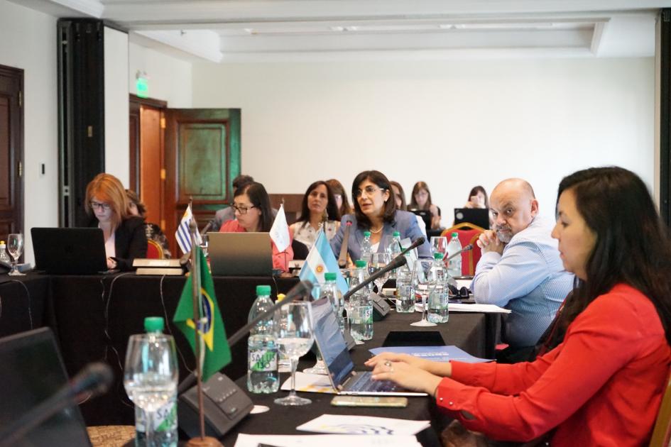Reunión coordinadores Mercosur