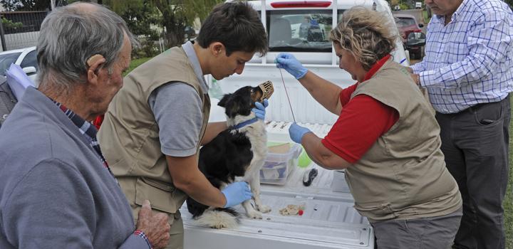 Equipo del Ministerio de Salud Pública y de la Comisión de Zoonosis