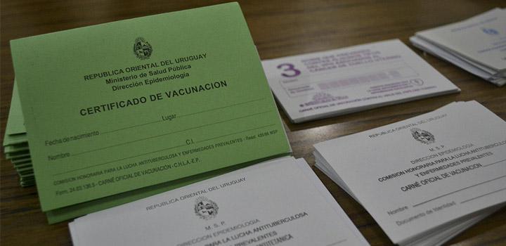 Imagen: carné de vacunas Imagen: carné de vacunas