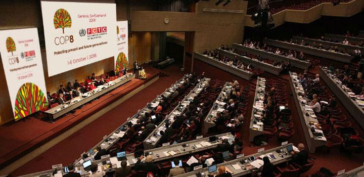 Imagen del lugar donde se está realizando la COP8 Imagen de la COP8