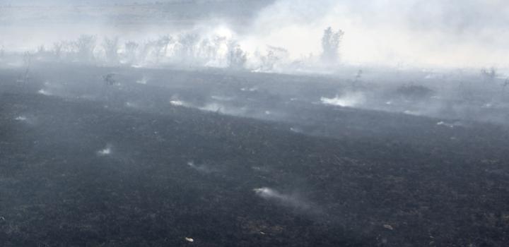 humo en el cielo