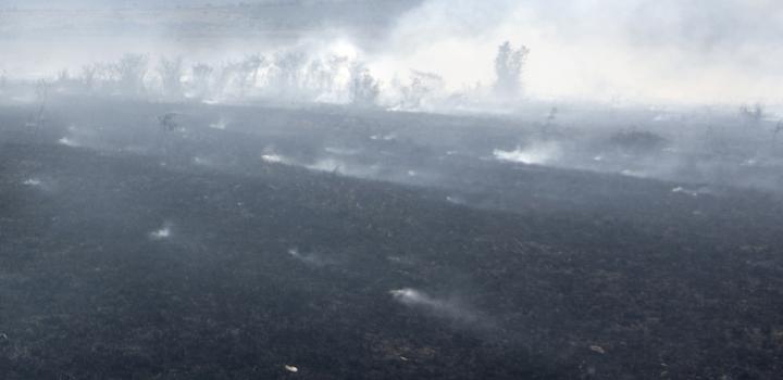 incendio forestal incendio forestal