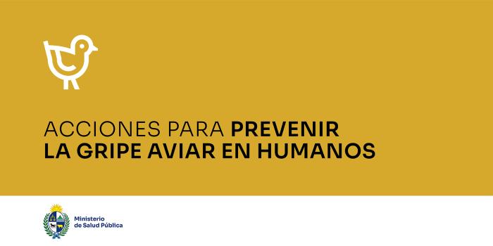 Acciones para prevenir la gripe aviar en humanos