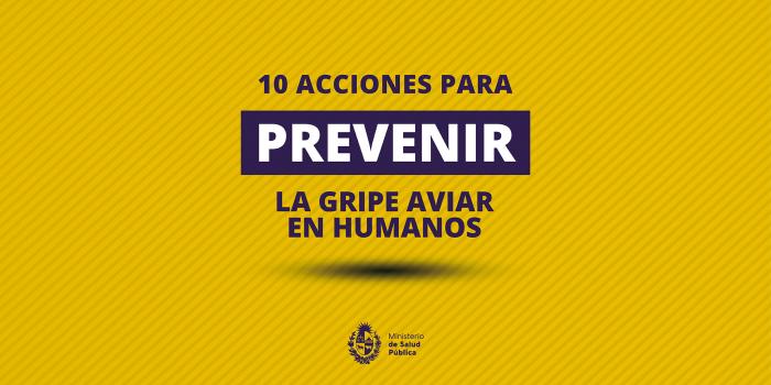 10 acciones para prevenir la gripe aviar en humanos