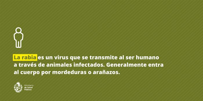 La rabia es un virus que se transmite al ser humano a través de animales infectados. 