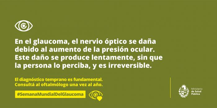 En el glaucoma, el nervio óptico se daña debido al aumento de la presión ocular. 