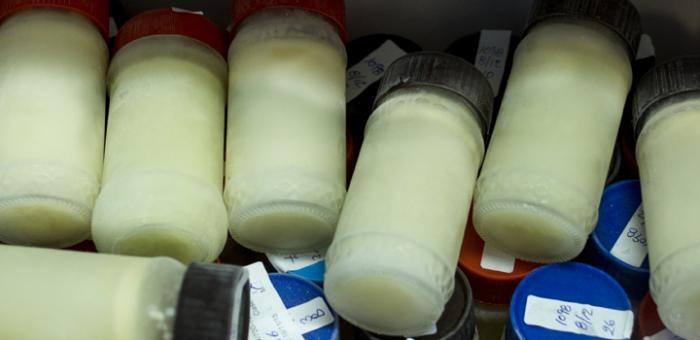 Frascos leche humana Frascos leche humana