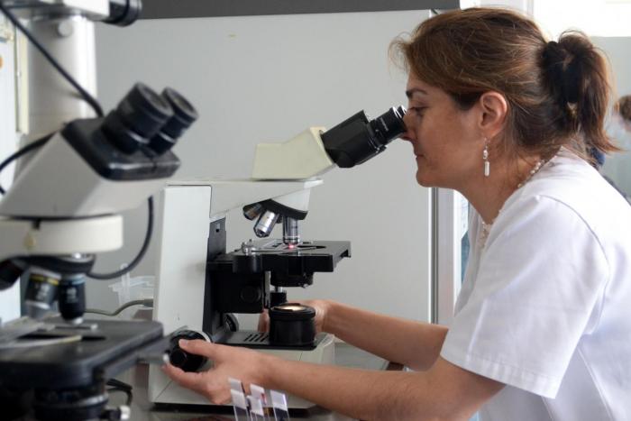 Imagen personal de salud observando en microscopio Imagen personal de salud observando en microscopio