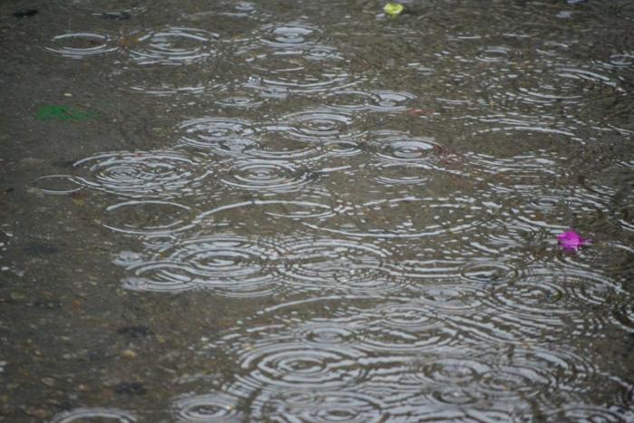 lluvia lluvia
