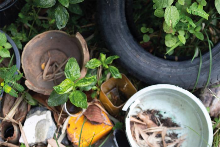 Macetas sin tierra, una cubierta de auto y algunas plantas