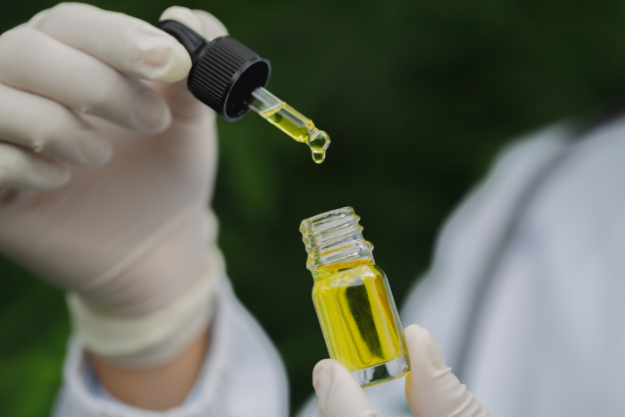 Cannabis medicinal Cannabis medicinal