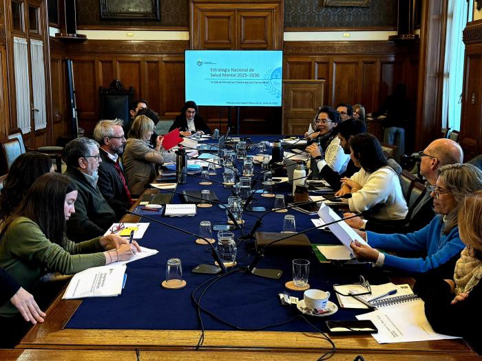 Presentación del Plan de Salud Mental en la comisión bicameral de salud del Parlamento Autoridades y técnicos del MSP sentados a la mesa conversan frente a diputados y senadores