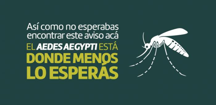 Campaña contra el “Aedes aegypti”