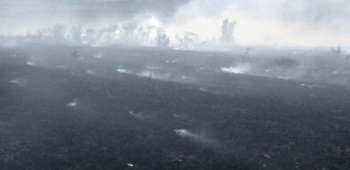 incendio forestal incendio forestal