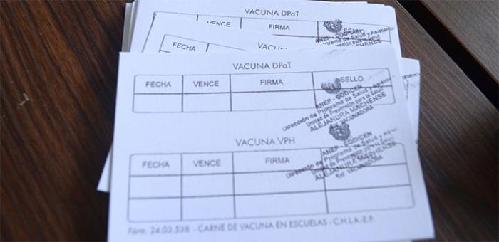 Imagen del carné de vacunación