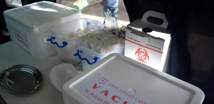 cajas de vacunas