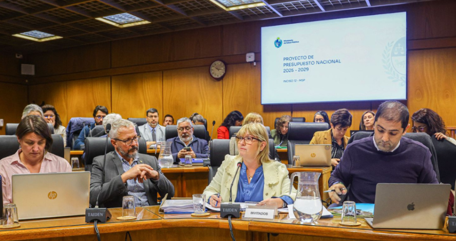 Cristina Lustemberg, ministra de salud, en Comisión de Hacienda