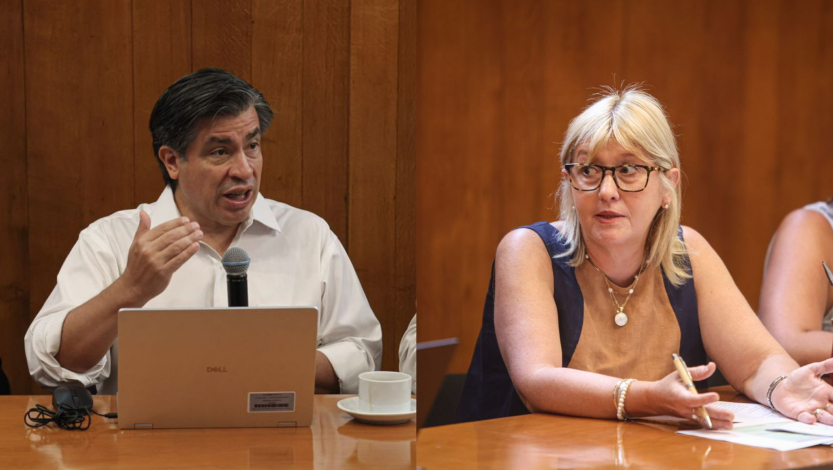 Ministra de Salud Cristina Lustemberg con Mario Sánchez del BID Mario Sánchez (BID) - Cristina Lustemberg (MSP)