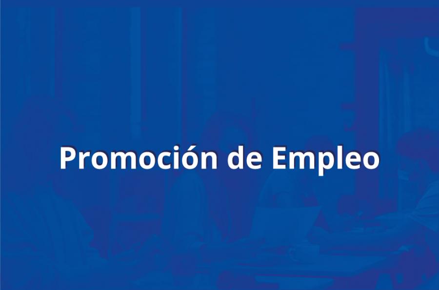 Promoción de empleo