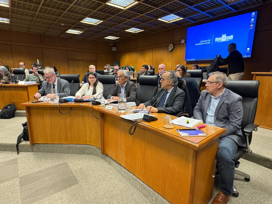 Autoridades del MTSS en Comisión de Diputados