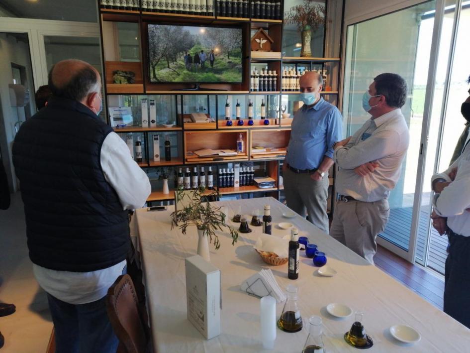 Visita a los Olivares de Santa Laura en Cerro Largo Visita a los Olivares de Santa Laura en Cerro Largo