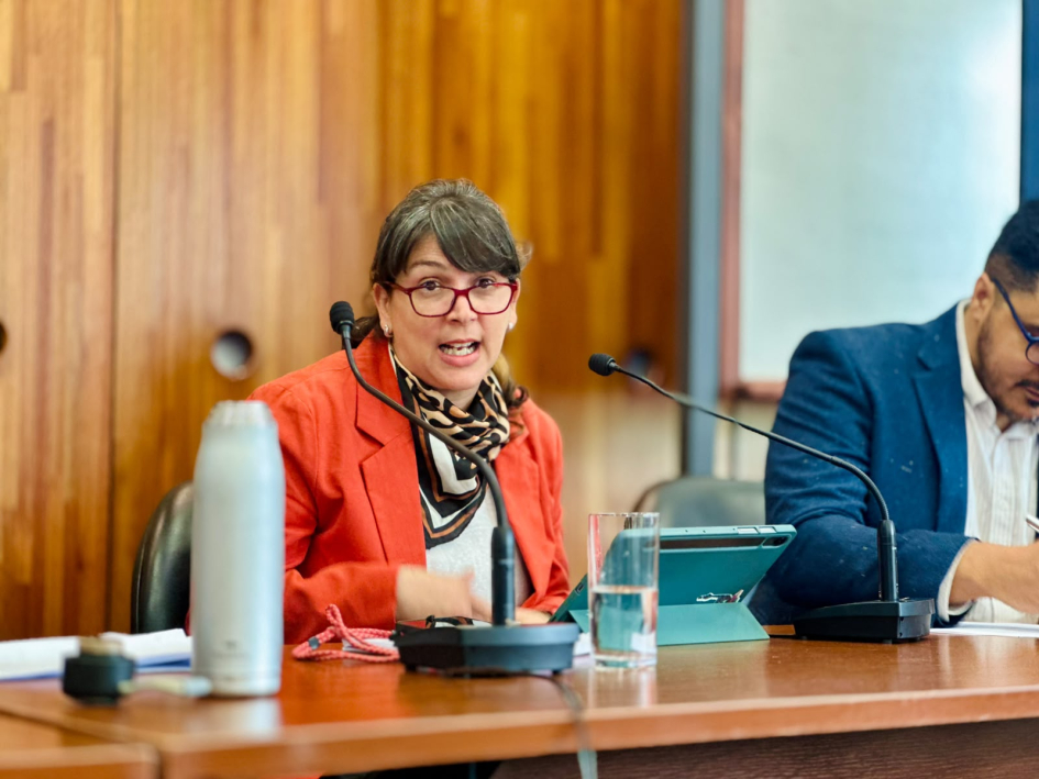 Conversatorio “Repensar el tiempo de trabajo" Una de las expositoras